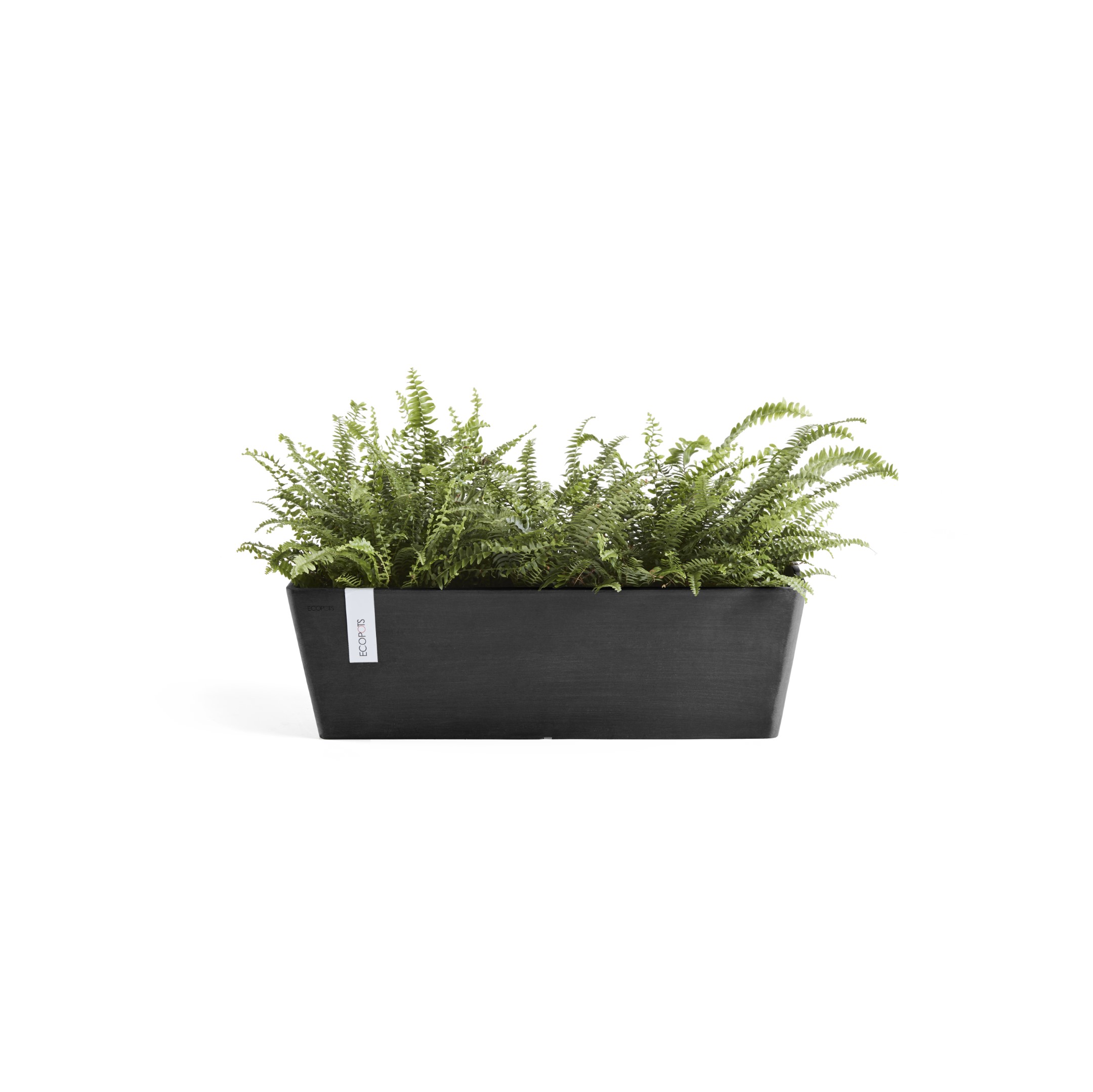 Ecopots Bruges