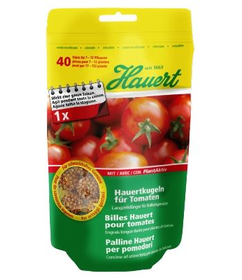 Tomaten, Balkongemüse