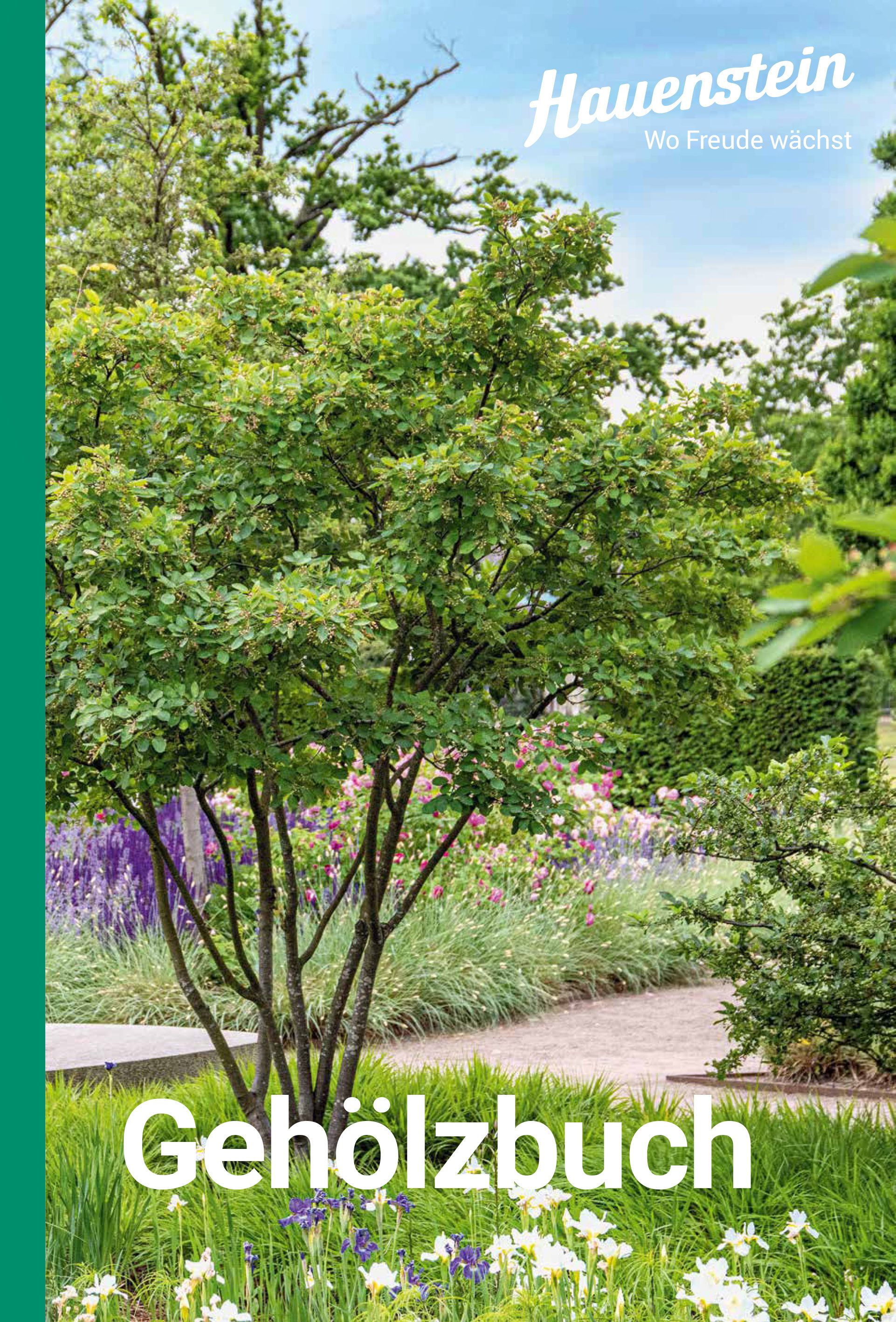 Hauenstein Gehölzbuch 2025 Hauenstein Gehölzbuch 2025