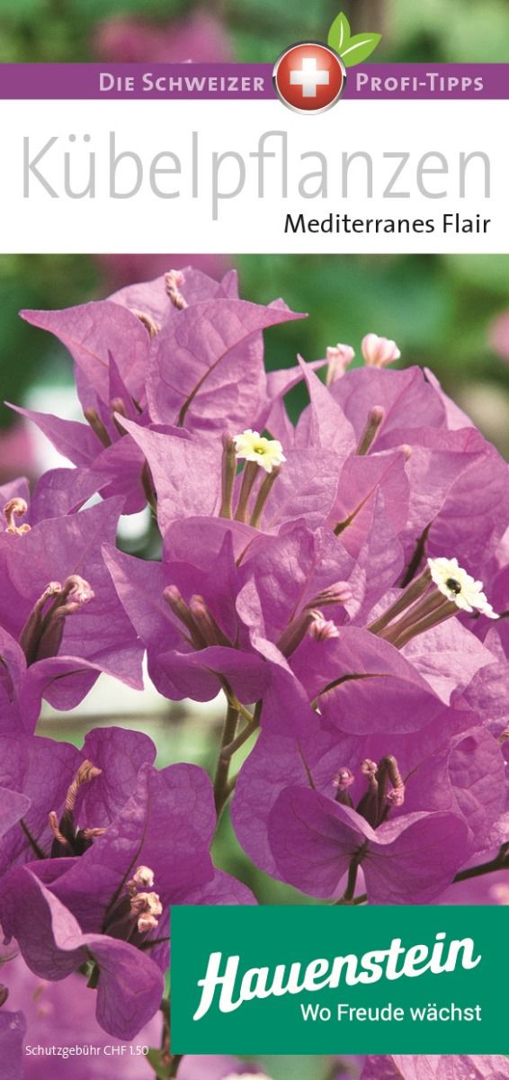 Broschüre Kübelpflanzen – Mediterranes Flair