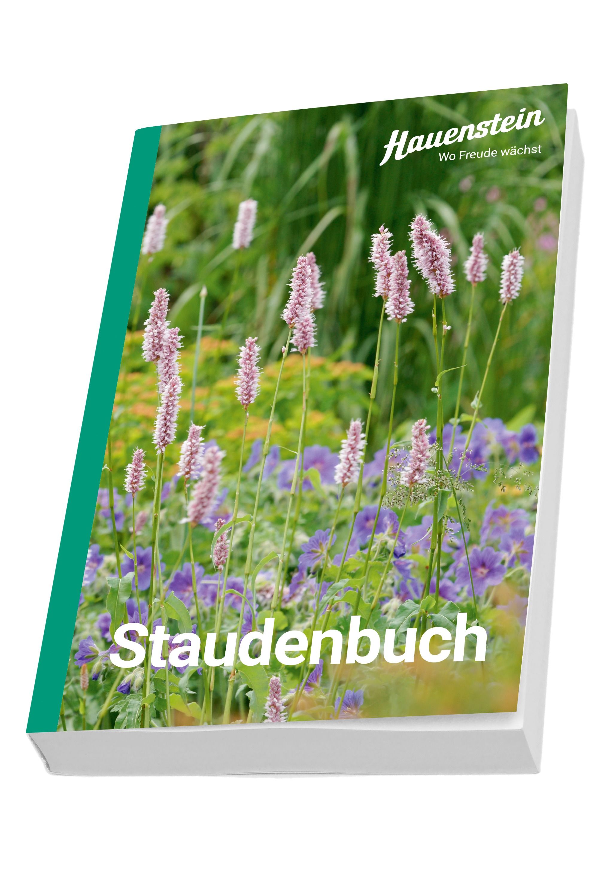 Hauenstein Staudenbuch 2025