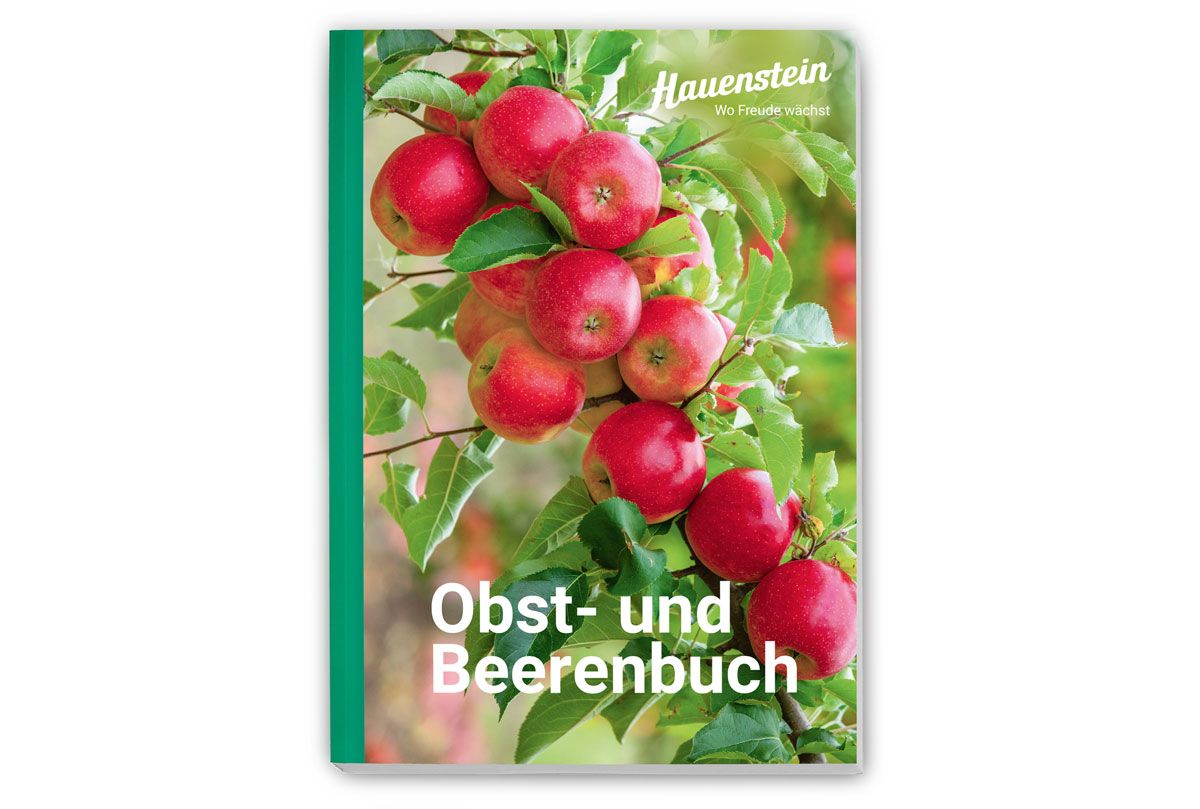 5 Bücher + Schuber gratis