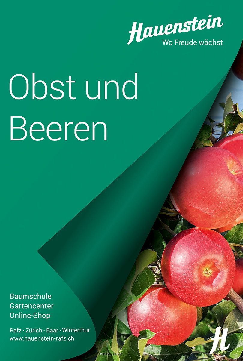Fachbuch Obst und Beeren 2020