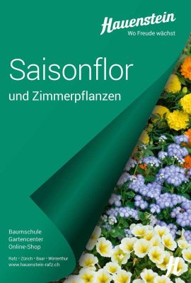 Fachbuch Saisonflor und Zimmerpflanzen