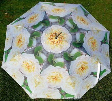 Regenschirm Rose weiss/gelb