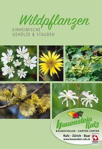 Fachbuch Wildpflanzen - Einheimische Gehölze & Stauden